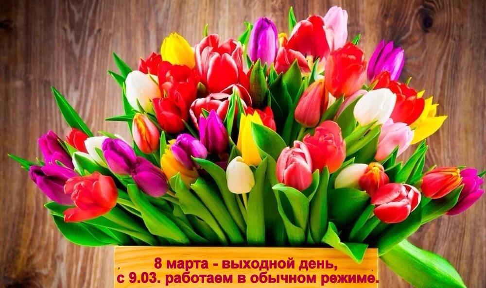 Поздравляем с праздником 8 марта !!!